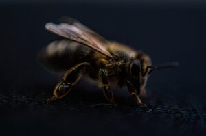 福岡で受けられる脱毛カウンセリングが無料のサロンはどこ？