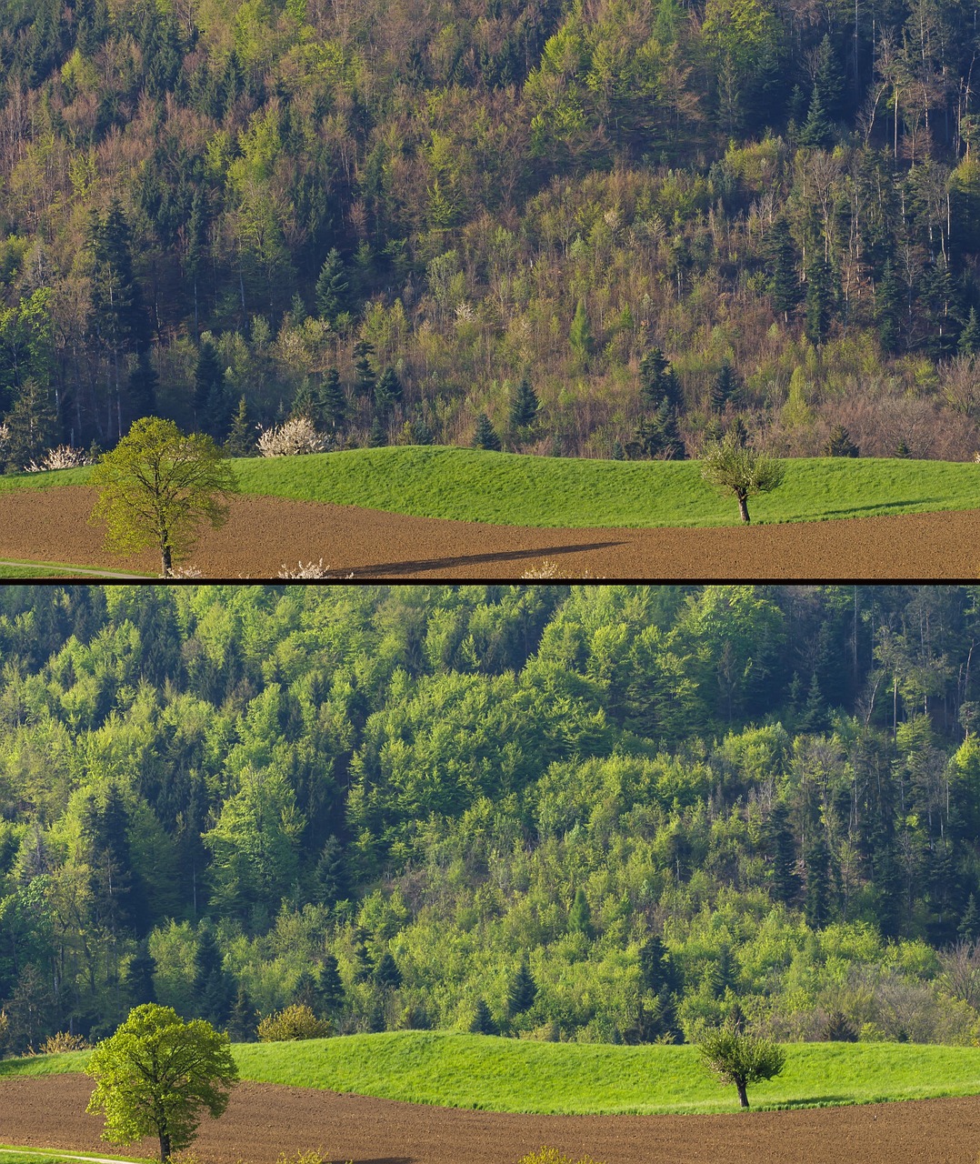 福岡で安いCO2フラクショナル治療のおすすめクリニックは？