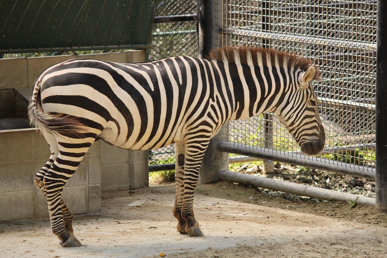 福岡での二重切開の料金はどのくらいかかる？