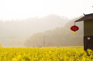 福岡で埋没法を使った自然な二重まぶたの作り方は？